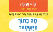 ספרים חדשים לילדים