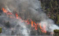 השריפה בירושלים: חשד להצתה
