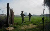 Of the 172 fallen soldiers, 29 were killed in accidents
