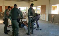 Israel Dog Unit speeds up training for security dogs