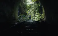 © 2023 20th Century Studios. פורום פילם גארפילד, כוכב הקופים והחדש של מארוול