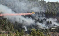 רשות הטבע והגנים: לא ערוכים לשריפה הבאה