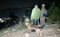 The last rescue of 2023