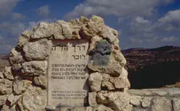 ד"ר מילשטיין, כשלי מערך הביטחון וצבי זמיר