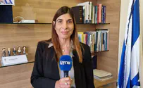 'We will need to completely reorganize the IDF'
