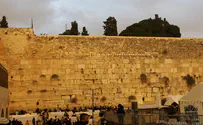 החזירו את אבני הכותל המפוזרות לגניזה