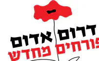 דרום אדום - פורחים מחדש