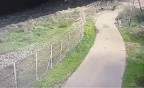 Стрельба возле Адоры