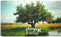 ט"ו בשבט: אברומי וינברג בסינגל חדש - אילן