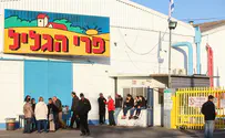 Employees at vegetable processing plant to strike
