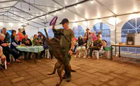Working dog exhibition for massacre survivors