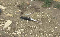 Попытка ножевого теракта в Гуш-Эционе