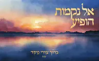 ברוך צורי נוקד בסינגל חדש: אל נקמות הופיע