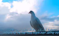 Reflections on world peace