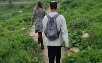 ירוק וטעים בשורק