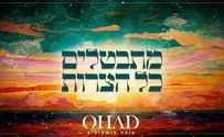 עטיפת הסינגל אוהד מושקוביץ קובע: 'מתבטלים כל הצרות'
