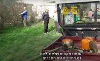 צילום: באדיבות כאן חדשות הפנסיונרים מהצפון שהחליטו לשקם את כפר עזה