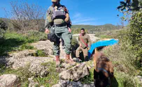 'ISA must join search for missing girl'