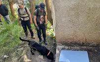 Search for missing girl enters eighth day