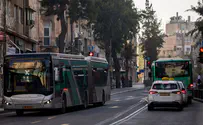 Dramatic reduction in public transportation fines