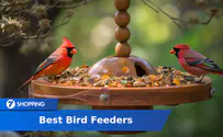 The Best Bird Feeders of 2024