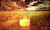 Shabbat Zachor: Perverted compassion