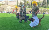 Purim dog exhibition for special needs children