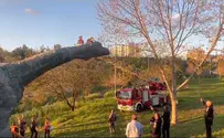 מודיעין: צוותי כיבוי חילצו ילד שנלכד על 'דינוזאור'