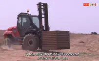 הזורעים בדמעה: שדות העוטף שוב נותנים פרי