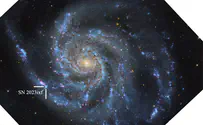 The most complete portrait of a supernova