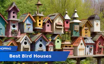7 Best Bird Houses Review