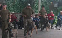Working dog exhibition for evacuees from northern Israel
