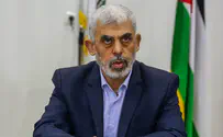 'The only person responsible for hostages' plight is Sinwar'