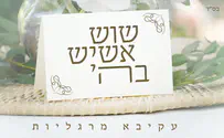 "מרגליות וחברים" פרק רביעי: "שוש אשיש"