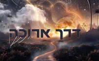 יוצר חדש ומפתיע: יונתן - "דרך ארוכה"