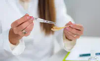 כל מה שכדאי לדעת על עולם הצמחים והריפוי