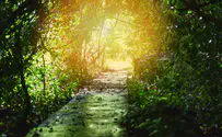 Parshat Shmini and Parshat Hachodesh - stages of Redemption