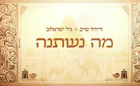 מה נשתנה - דייויד טויב וגיל ישראלוב