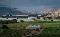 Full sovereignty to be imposed over Jordan Valley next October 7