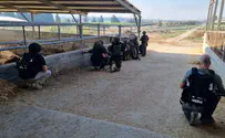 צילום: כיתת כוננות יד מרדכי קיבוץ פסטורלי, זירת מלחמה: "לא כולם יחזרו ליד מרדכי, הקונספציה קרסה"