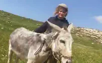 'His head was smashed open with a rock'