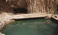 רוחצים גירשו את ליאת ממעיין עין איתמר