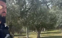 כך נחשף הקשר בין הוואקף למשטרה