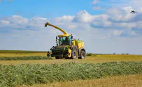 The unusual instruction to farmers in the border region