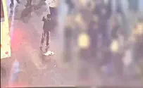 הסית ילדים לשרוף דגלי ישראל - ונעצר