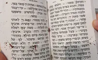 Psalms 109 and 110 - a message from Rina
