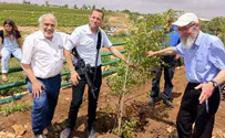 עשרות עצים ניטעו בחורשת הגיבורים בשומרון
