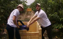 עושים ציונות ביום העצמאות