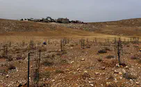ערבים השחיתו כרם; התושבים נטעו מחדש