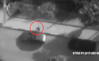 Terrorist hides in hospital